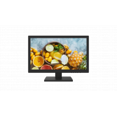 DS-D5019QE-B - Moniteur 18.5 pouces 1366*768