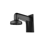 DS-1272ZJ-110(Black) - Wandmontage